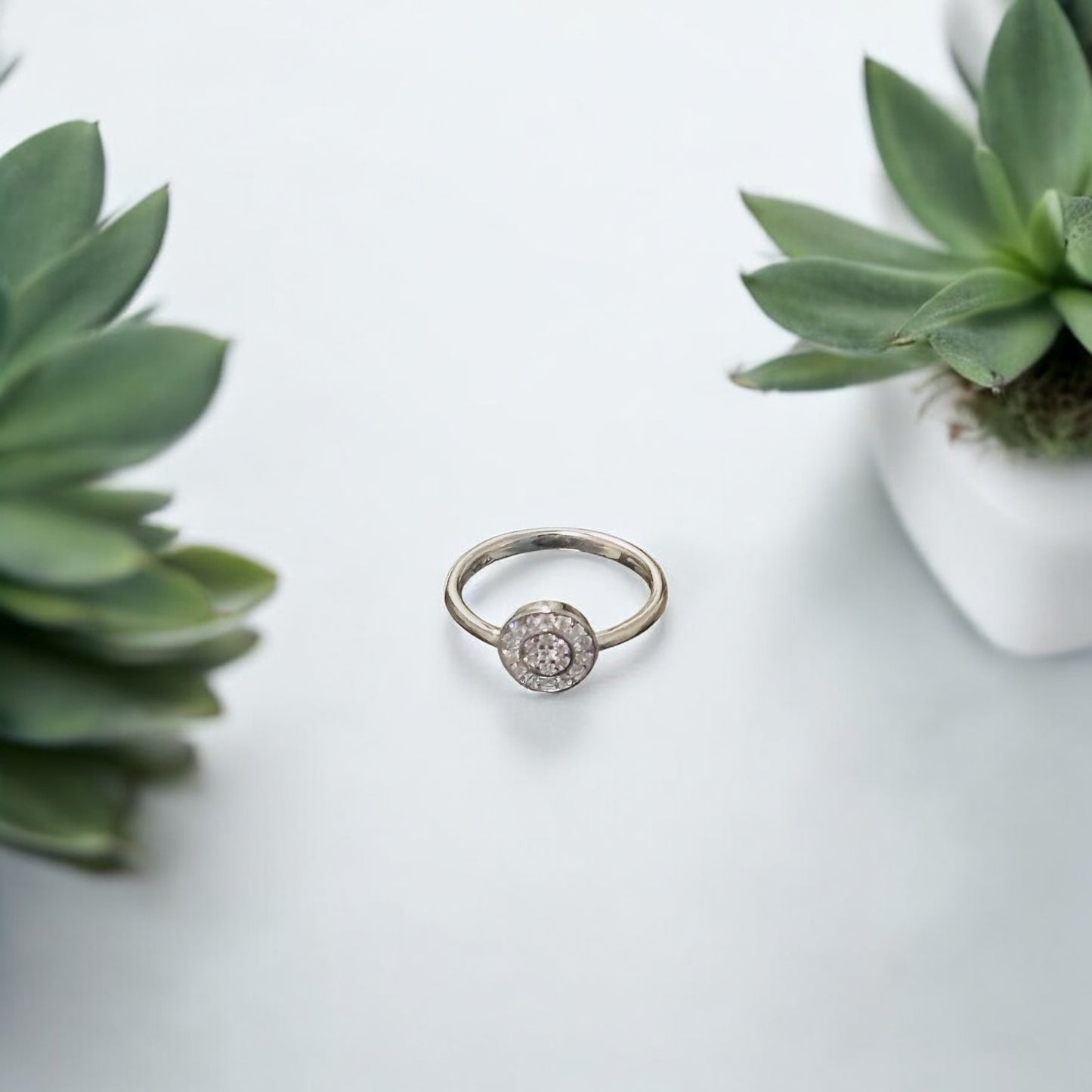 Infinite circular minimal ring