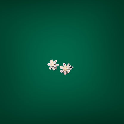 Pair of silver flower-shaped earrings on a green background