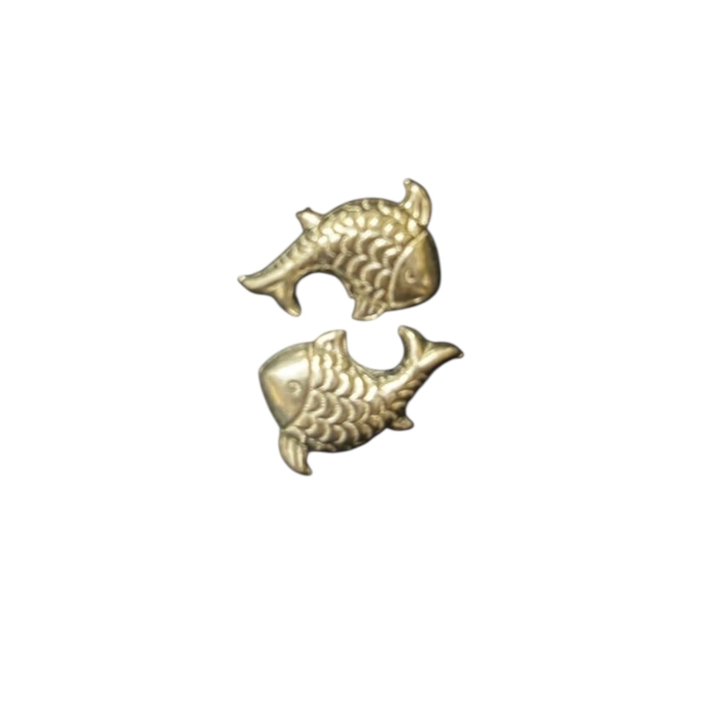 Lucky pair silver fish