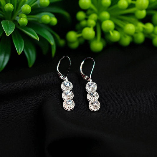 Silver earrings with clear stones on a black surface with green foliage in the background